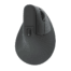 Mouse Vertical